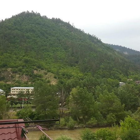 Karlsson Borjomi Apartment. エクステリア 写真