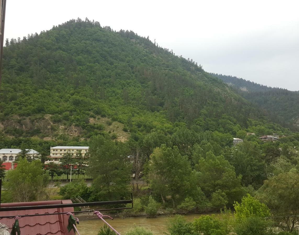 Karlsson Borjomi Apartment. エクステリア 写真